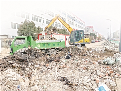 嘉定区垃圾清运：绿意盎然的城市守护者