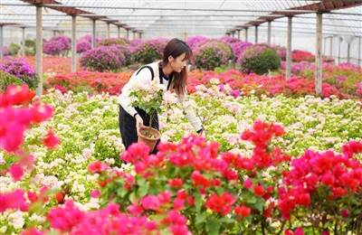 ������������