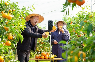 ��԰ֱ�� ��ũ����