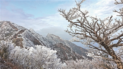 �㵴�ļ� ��ڡ��ʢ�š�