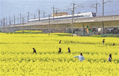 ����������г�