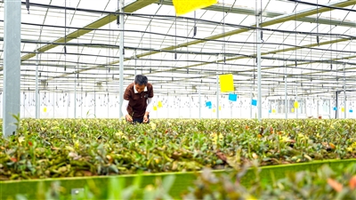 ��������ũ������ҵ���ء����Ҷӡ�