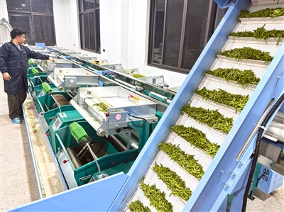 ��԰���� �����ܰ��֡�