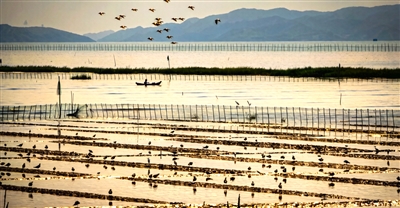 �������� �����輯