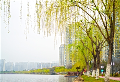 ��֦���̴���Ũ