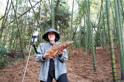 ����ð�� ֱ������