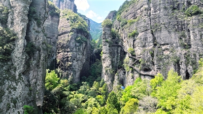 ��Ϊ�� ����· �㵴ɽ���ε��ݽ�Ͷ��