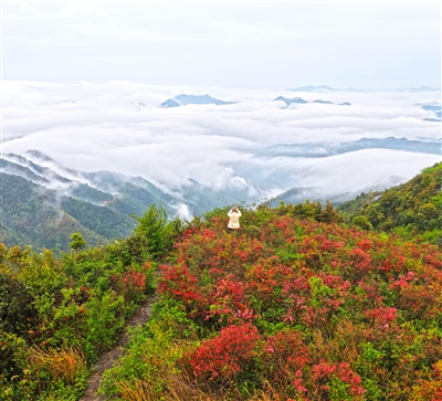 �ƺ��糱 ɽ������